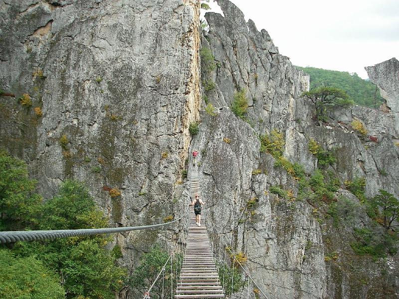 nelson-via-52.JPG - The suspension bridge.  200 feet in length and 150 feet high.