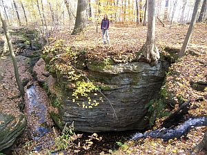 nelson-kennedy-ledges (89K)