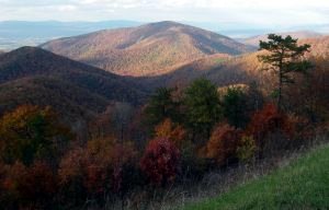 shenandoah-national-park-va (15K)