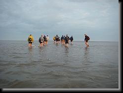 wadlopen_12 * 06.01.2008 * 1235 x 926 * (107KB)