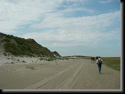 wadlopen_32 * 06.01.2008 * 1235 x 926 * (116KB)