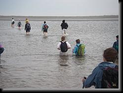 wadlopen_maartens_9 * 09.01.2008 * 1235 x 926 * (149KB)